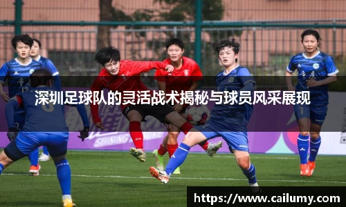 深圳足球队的灵活战术揭秘与球员风采展现